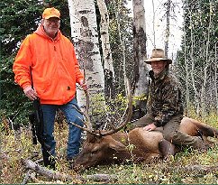 colorado elk hunting outfitter